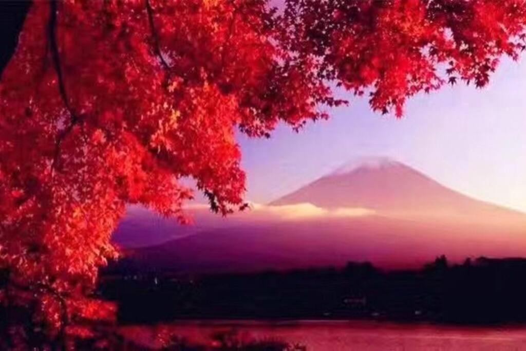 Away From Noise,View Fuji Mt In The Designer House Yamanakako Exterior foto